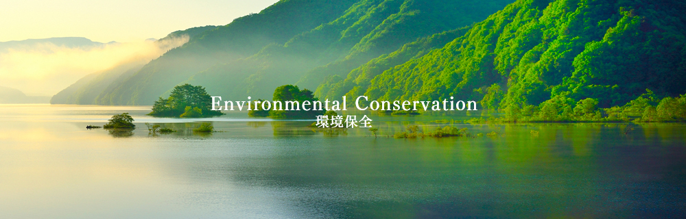 総合環境コンサルタント 技術コンサルタント 海洋環境分野 Ccs 資源開発など エコリク 環境ビジネス特化型求人サイト