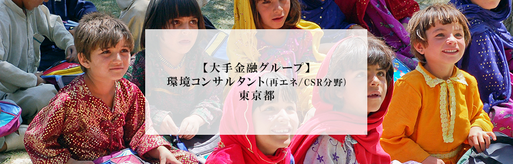 大手金融グループ 環境コンサルタント 再エネ Csr分野 東京都 エコリク 環境ビジネス特化型求人サイト