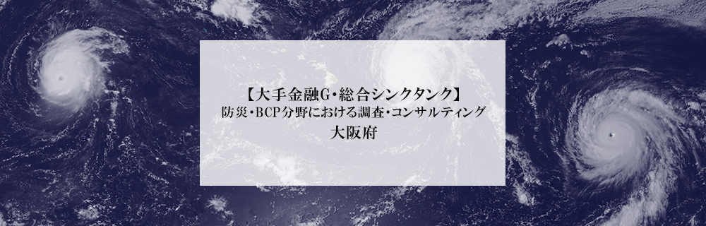 大手金融g 総合シンクタンク 防災 p分野における調査 コンサルティング 大阪府 エコリク 環境ビジネス特化型求人サイト